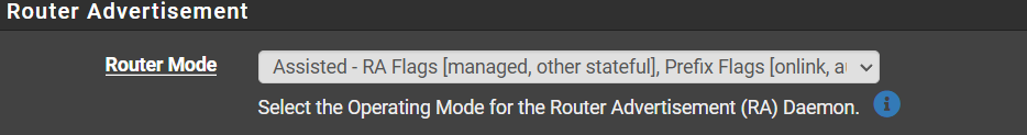 Router Advertisement Assisted